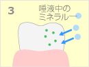 初期のむし歯部分に唾液中の成分（リン、カルシウムなど）が取り込まれ、フッ素が再石灰化を促進します。